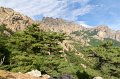 0121 Col de Bavella